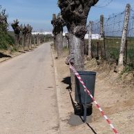 164039641_2945462882364978_7659520230902947274_n