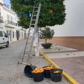 79186836_2559218840989386_3284144930410201088_o