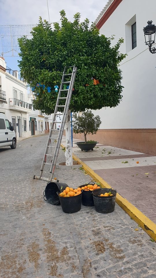 79186836_2559218840989386_3284144930410201088_o