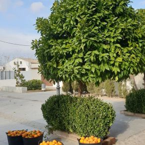 79824397_2559218954322708_7506634099239419904_o