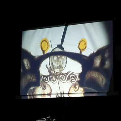 84160574_3458396010898173_3689636980418674688_n