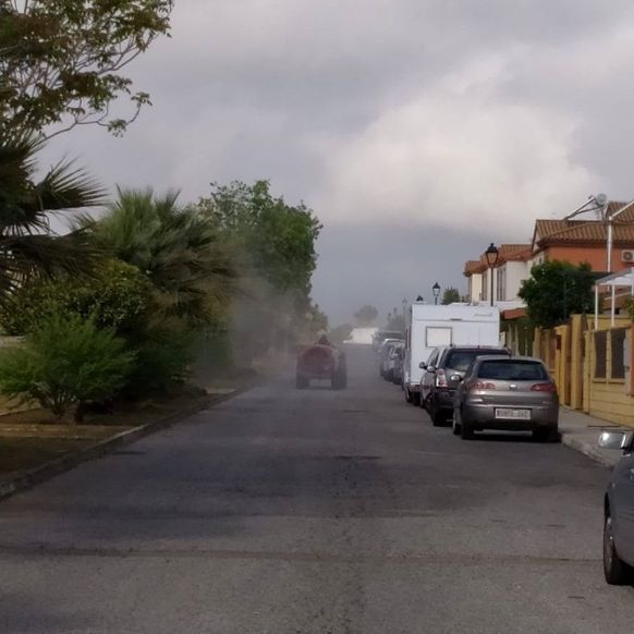 92151788_2659740154270587_2719164844732317696_o