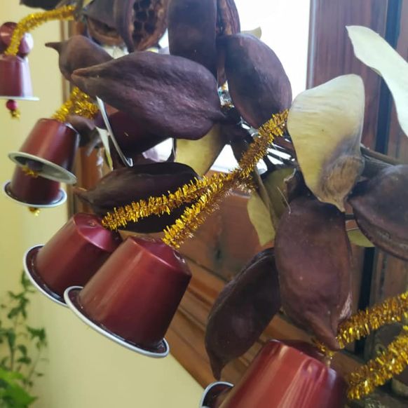 Adornos Navideños Ayuntamiento 01