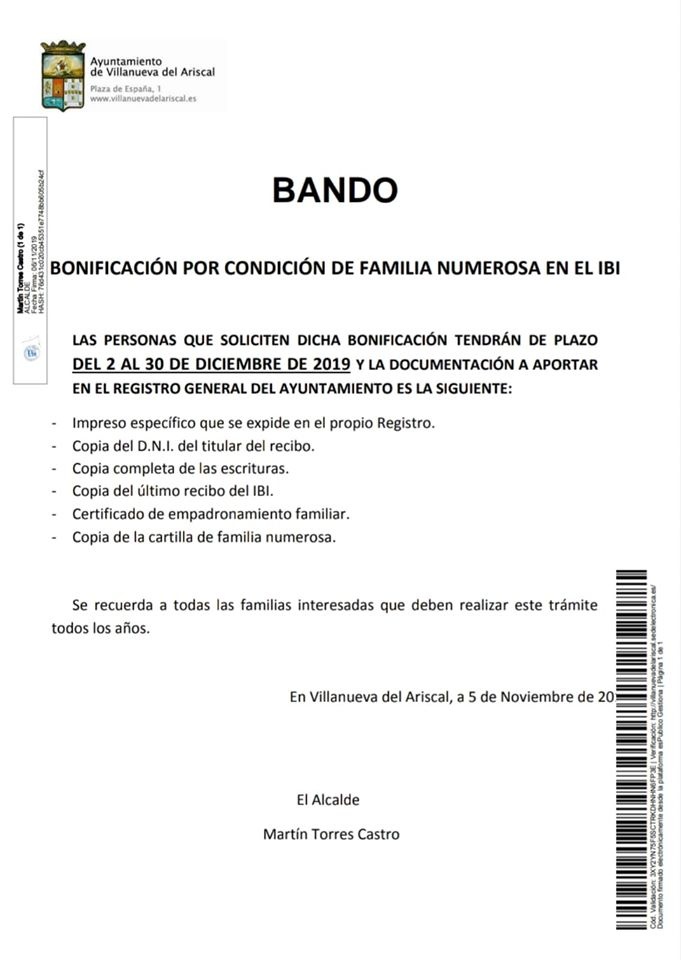 BonificacionCondicionFamiliaNumerosaIbi