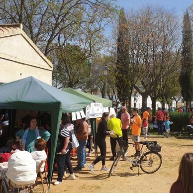 Dia Andalucia Bici 008