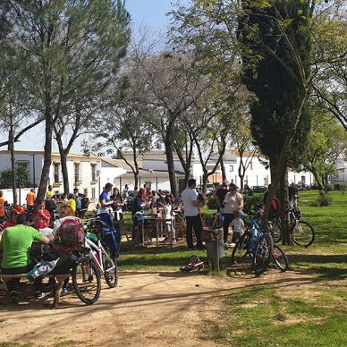 Dia Andalucia Bici 009