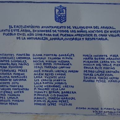 Dia Andalucia Bici 013