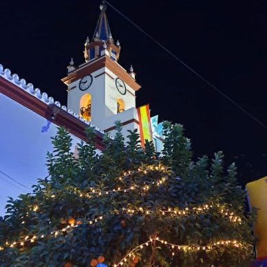 FESTIVIDAD DE NUESTRA PATRONA 2019 11