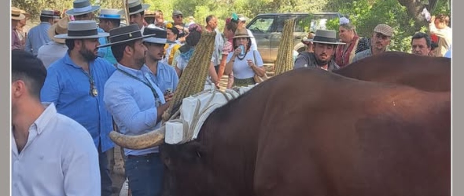 Hermandad del Rocío Villanueva del Ariscal