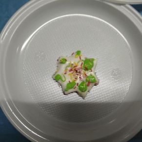 PROGRAMACIÓN NAVIDEÑA TALLER DE DECORACIÓN DE GALLETAS 013