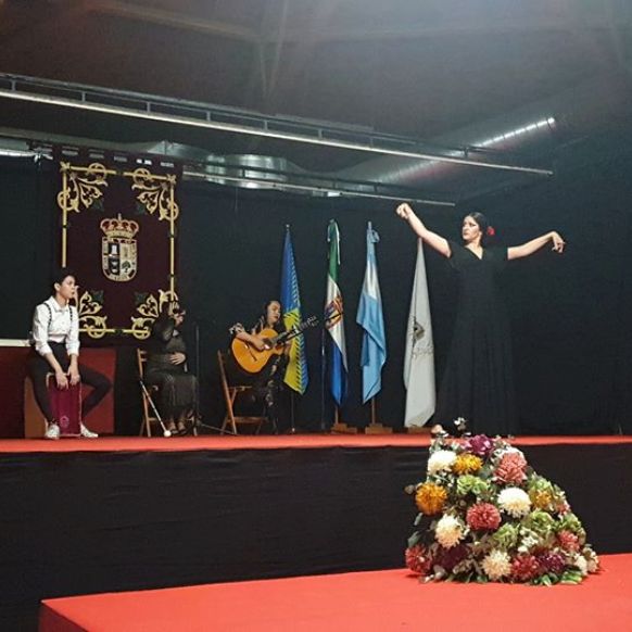 XIX ENCUENTRO DE MUJERES ALTO ALJARAFE 0022